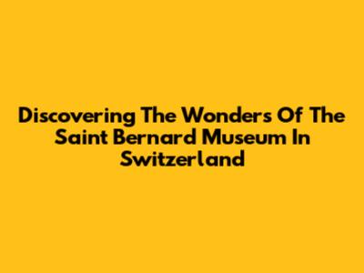 Discovering The Wonders Of The Saint Bernard Museum In Switzerland