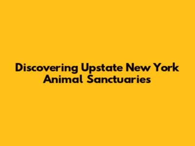 Discovering Upstate New York Animal Sanctuaries