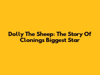 Dolly The Sheep: The Story Of Cloning's Biggest Star