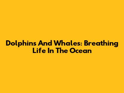 Dolphins And Whales: Breathing Life In The Ocean