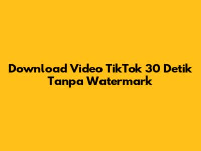 Download Video TikTok 30 Detik Tanpa Watermark