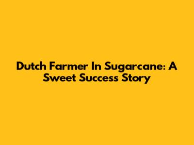 Dutch Farmer In Sugarcane: A Sweet Success Story