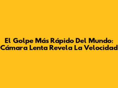 El Golpe Más Rápido Del Mundo: Cámara Lenta Revela La Velocidad