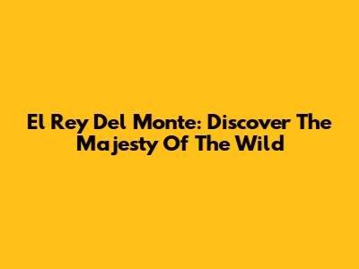 El Rey Del Monte: Discover The Majesty Of The Wild