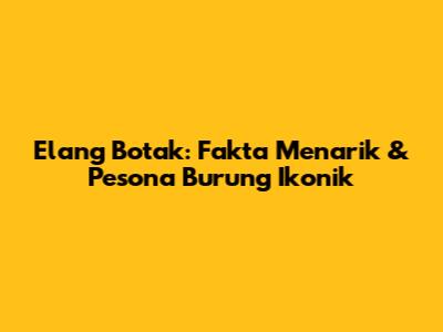 Elang Botak: Fakta Menarik & Pesona Burung Ikonik