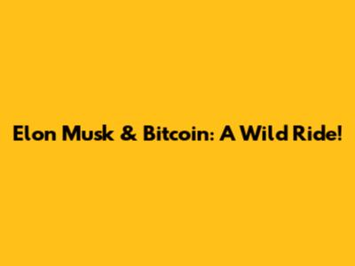 Elon Musk & Bitcoin: A Wild Ride!