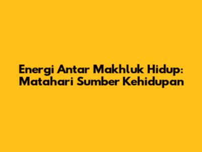 Energi Antar Makhluk Hidup: Matahari Sumber Kehidupan