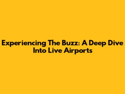 Experiencing The Buzz: A Deep Dive Into Live Airports