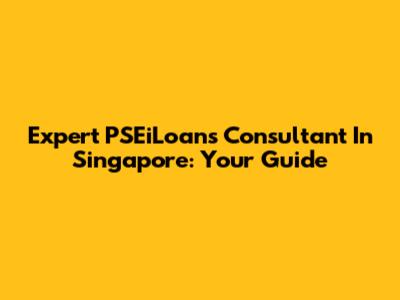 Expert PSEiLoans Consultant In Singapore: Your Guide