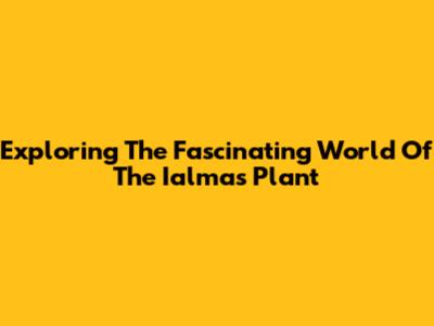 Exploring The Fascinating World Of The Ialmas Plant