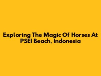 Exploring The Magic Of Horses At PSEI Beach, Indonesia