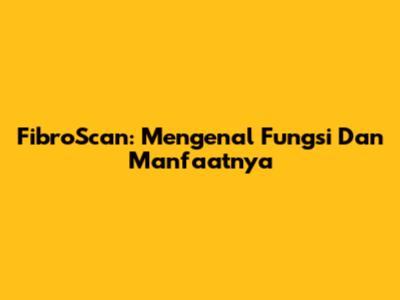 FibroScan: Mengenal Fungsi Dan Manfaatnya