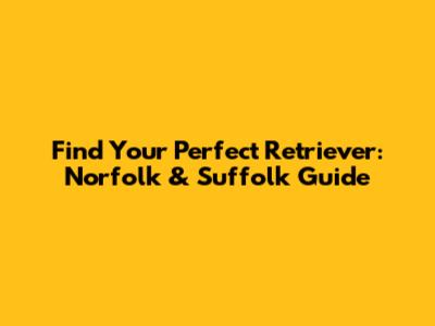 Find Your Perfect Retriever: Norfolk & Suffolk Guide