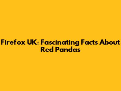 Firefox UK: Fascinating Facts About Red Pandas
