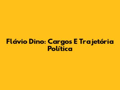 Flávio Dino: Cargos E Trajetória Política