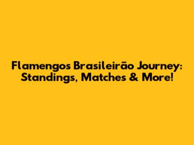 Flamengo's Brasileirão Journey: Standings, Matches & More!
