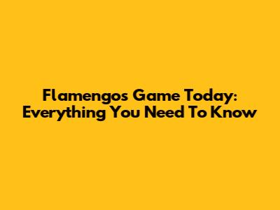 Flamengo's Game Today: Everything You Need To Know