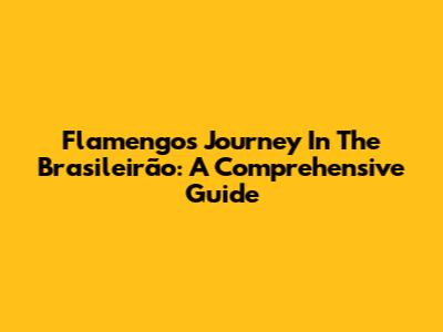 Flamengo's Journey In The Brasileirão: A Comprehensive Guide