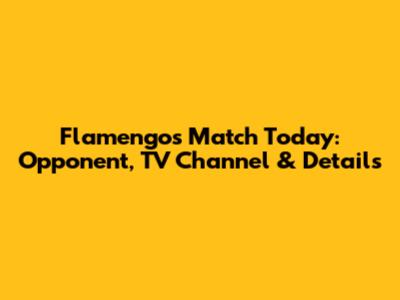 Flamengo's Match Today: Opponent, TV Channel & Details