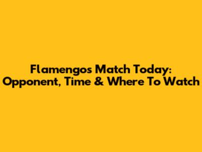 Flamengo's Match Today: Opponent, Time & Where To Watch