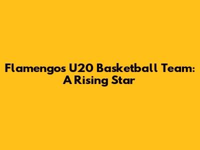 Flamengo's U20 Basketball Team: A Rising Star