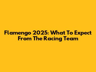 Flamengo 2025: What To Expect From The Racing Team