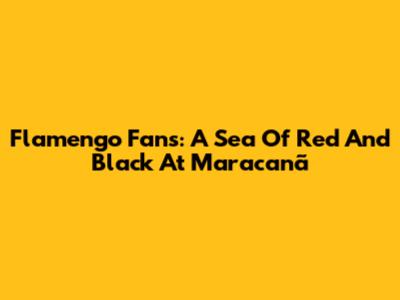 Flamengo Fans: A Sea Of Red And Black At Maracanã