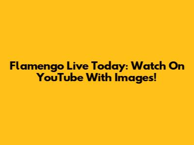 Flamengo Live Today: Watch On YouTube With Images!