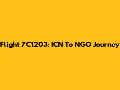 Flight 7C1203: ICN To NGO Journey