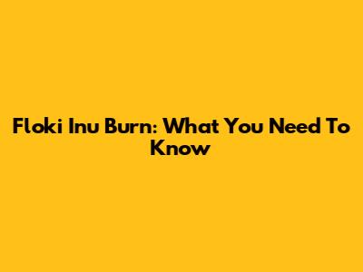 Floki Inu Burn: What You Need To Know