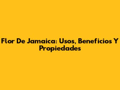 Flor De Jamaica: Usos, Beneficios Y Propiedades
