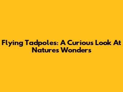 Flying Tadpoles: A Curious Look At Nature's Wonders