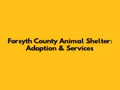 Forsyth County Animal Shelter: Adoption & Services