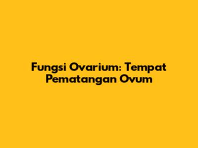 Fungsi Ovarium: Tempat Pematangan Ovum