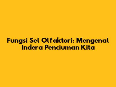 Fungsi Sel Olfaktori: Mengenal Indera Penciuman Kita