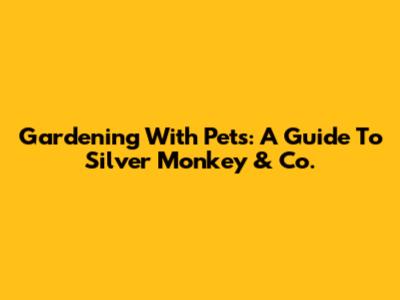 Gardening With Pets: A Guide To Silver Monkey & Co.