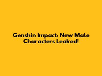 Genshin Impact: New Male Characters Leaked!