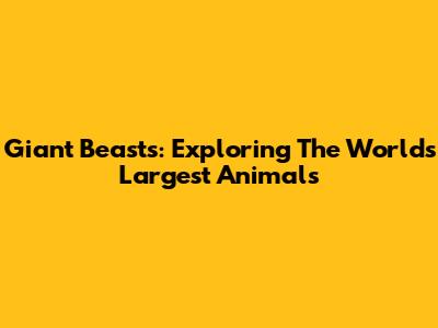 Giant Beasts: Exploring The World's Largest Animals