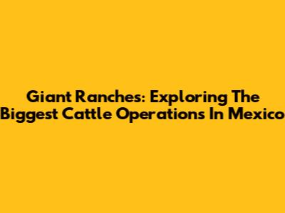 Giant Ranches: Exploring The Biggest Cattle Operations In Mexico