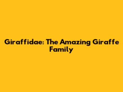 Giraffidae: The Amazing Giraffe Family
