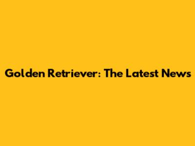 Golden Retriever: The Latest News