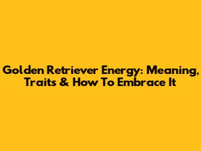 Golden Retriever Energy: Meaning, Traits & How To Embrace It