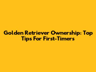 Golden Retriever Ownership: Top Tips For First-Timers