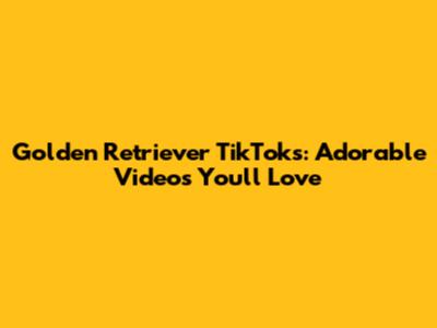 Golden Retriever TikToks: Adorable Videos You'll Love