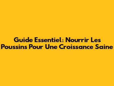 Guide Essentiel: Nourrir Les Poussins Pour Une Croissance Saine