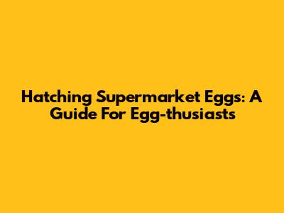 Hatching Supermarket Eggs: A Guide For Egg-thusiasts
