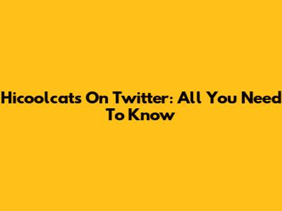 Hicoolcats On Twitter: All You Need To Know