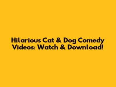 Hilarious Cat & Dog Comedy Videos: Watch & Download!