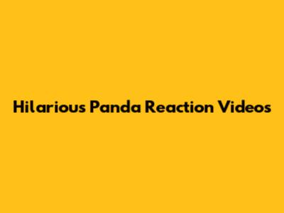 Hilarious Panda Reaction Videos