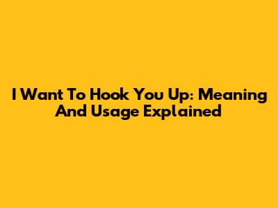 I Want To Hook You Up: Meaning And Usage Explained